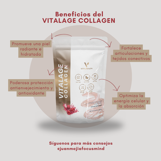 V-ITALAGE COLLAGEN